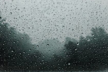 Clima hoy en Punta Lara, Buenos Aires: el pronóstico del tiempo para este miércoles 7 enero de 2026 | FM Avenida