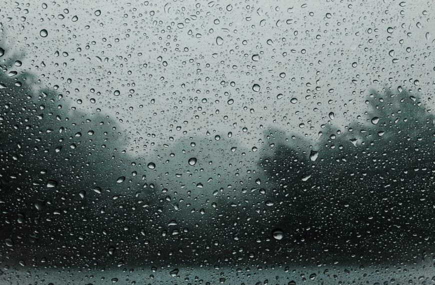 Clima hoy en Punta Lara, Buenos Aires: el pronóstico del tiempo para este miércoles 7 enero de 2026 | FM Avenida