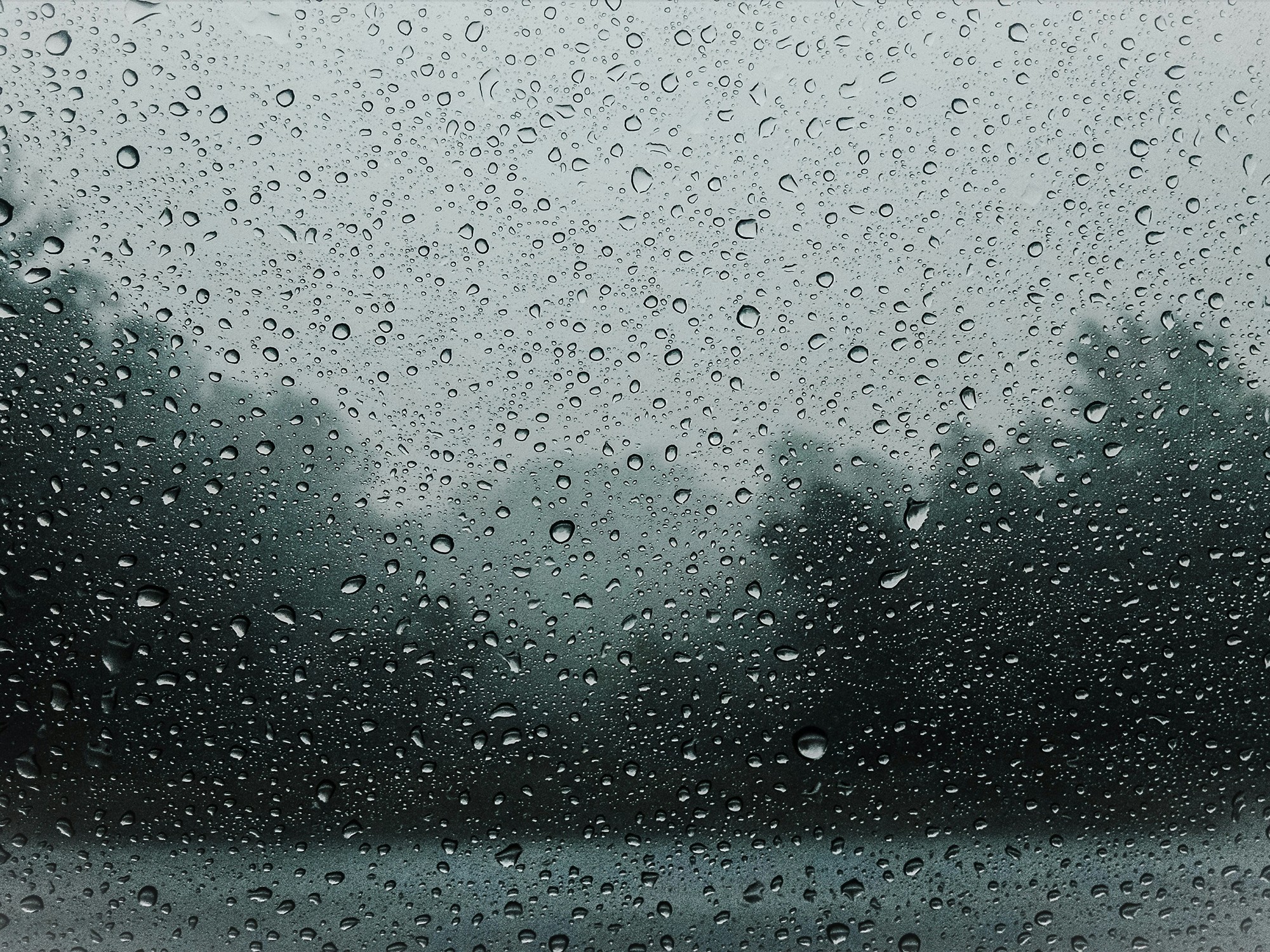 Clima hoy en Punta Lara, Buenos Aires: el pronóstico del tiempo para este miércoles 7 enero de 2026 | FM Avenida