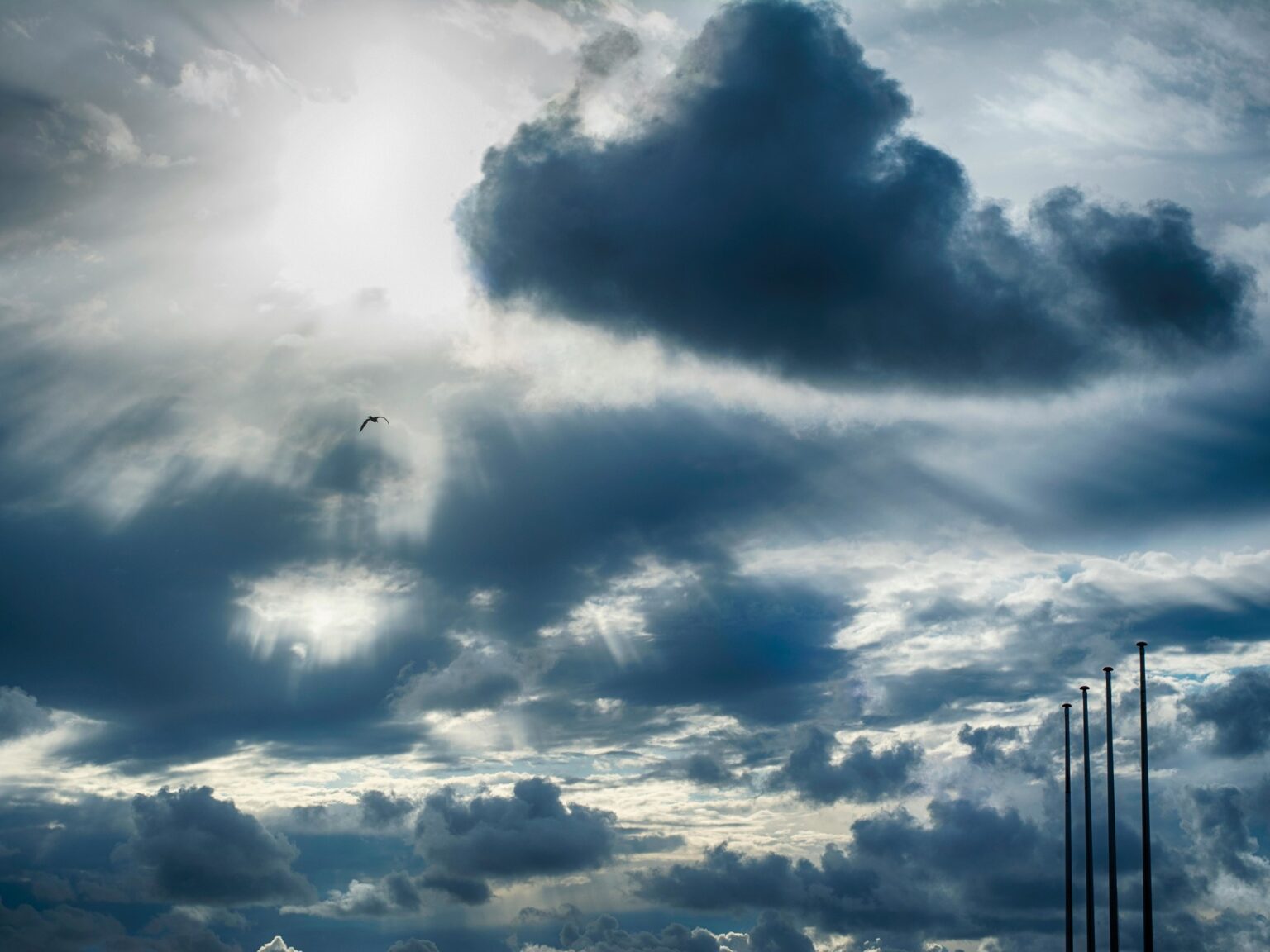 Clima hoy en Punta Lara, Buenos Aires: el pronóstico del tiempo para este miércoles 14 enero de 2026 | FM Avenida