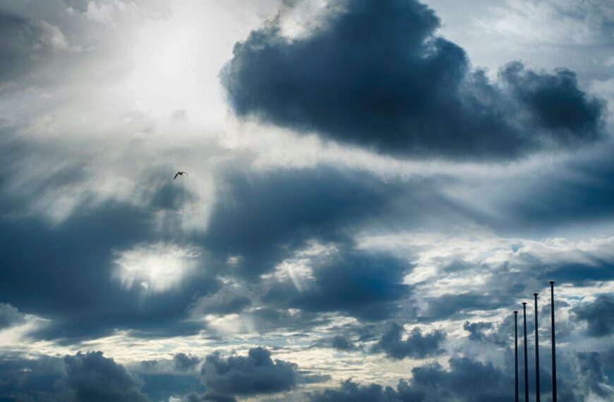 Clima hoy en Punta Lara, Buenos Aires: el pronóstico del tiempo para este miércoles 14 enero de 2026 | FM Avenida