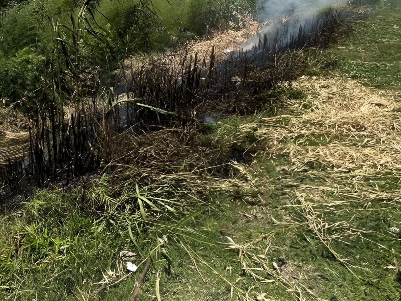 Bomberos intervinieron en tres incendios de pastizales registrados en distintos puntos de la ciudad | FM Avenida