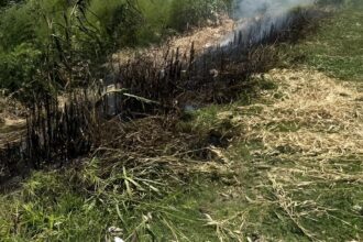 Bomberos intervinieron en tres incendios de pastizales registrados en distintos puntos de la ciudad | FM Avenida