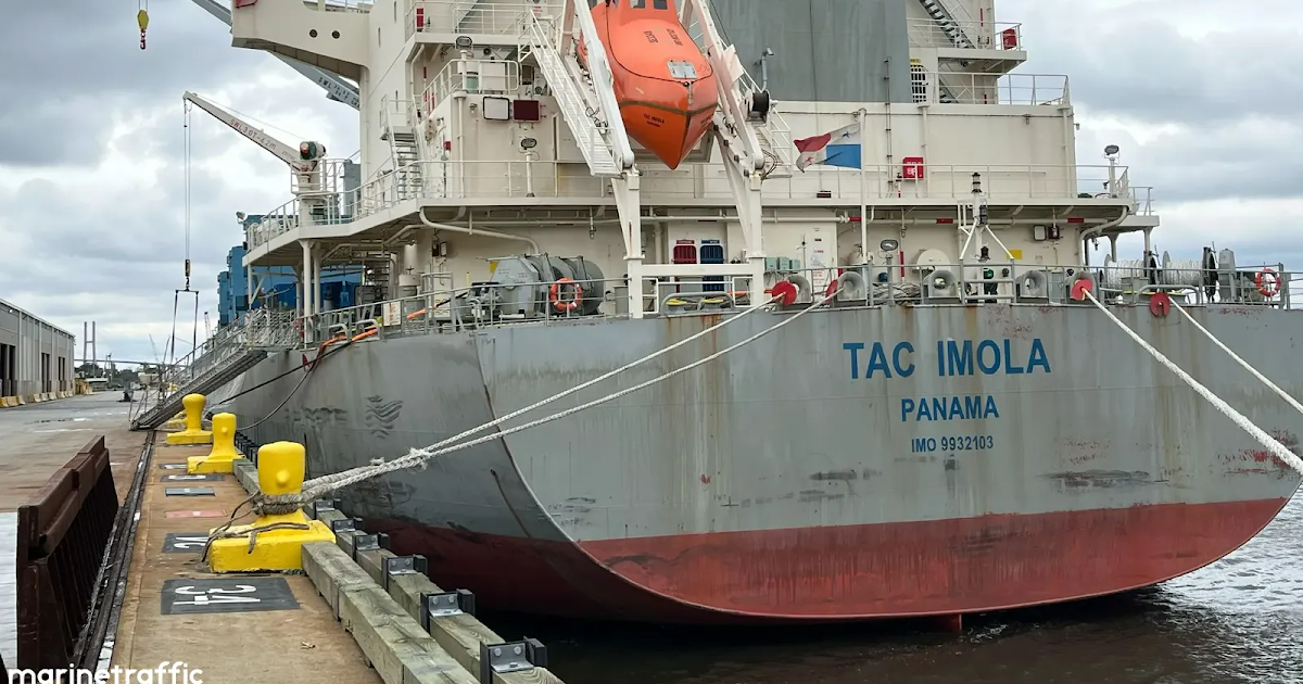 Carga de trigo a Brasil desde el muelle elevador del puerto | FM Avenida