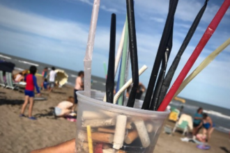 Casi el 80% de la basura encontrada en las playas bonaerenses son plásticos | FM Avenida