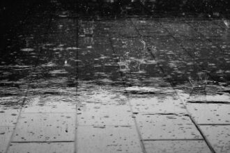 Clima hoy en Formosa: el pronóstico del tiempo para este viernes 9 enero de 2026 | FM Avenida