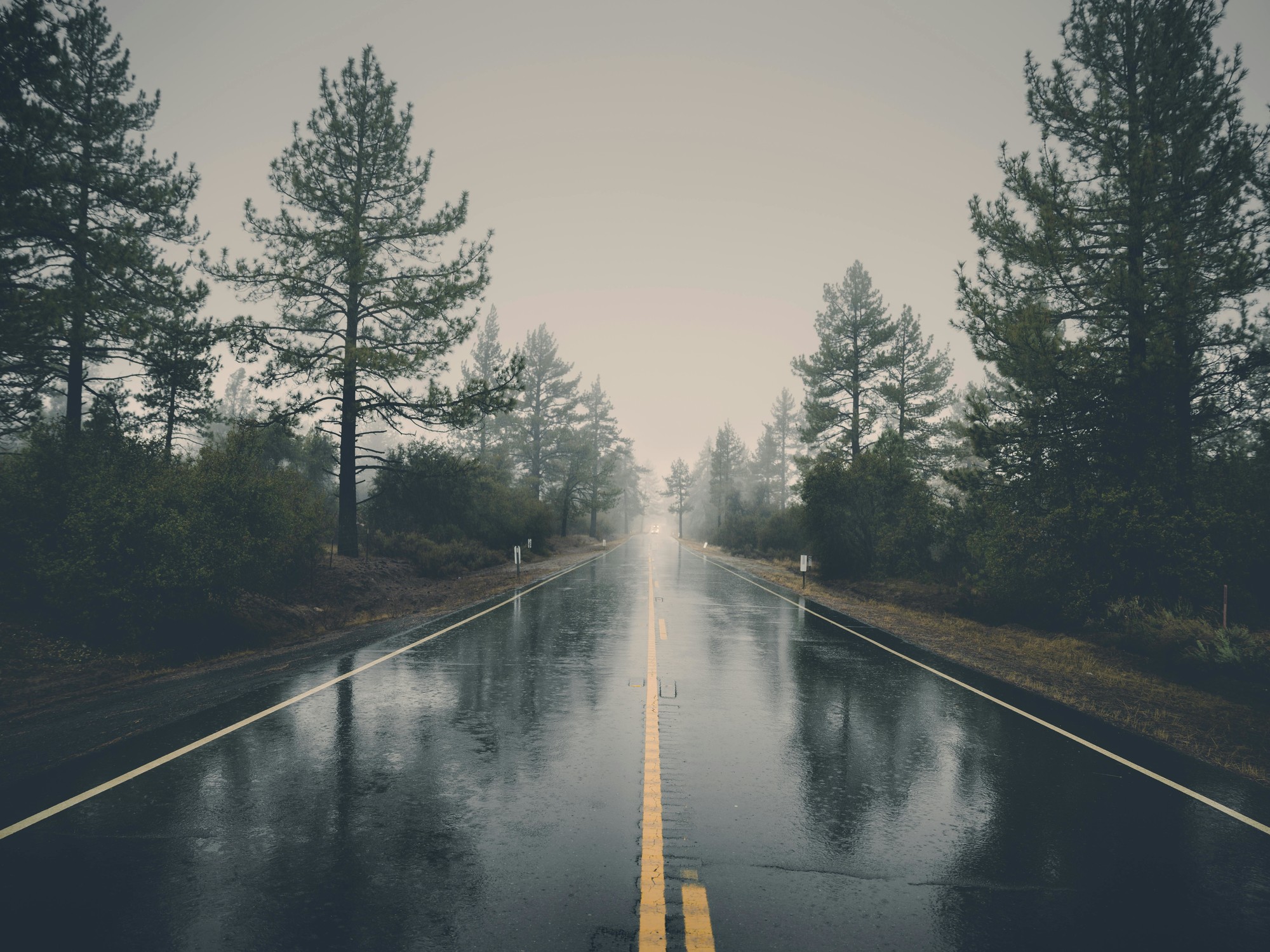 Clima hoy en Houston, Estados Unidos: el pronóstico del tiempo para este sábado 10 enero de 2026 | FM Avenida