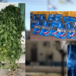 Cuatro allanamientos en Río Tala por robo y tenencia de estupefacientes | FM Avenida