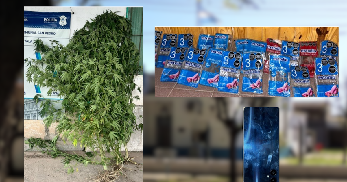 Cuatro allanamientos en Río Tala por robo y tenencia de estupefacientes | FM Avenida