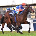 El gobierno bonaerense habilitó a las agencias hípicas para operar en el juego "online" | FM Avenida