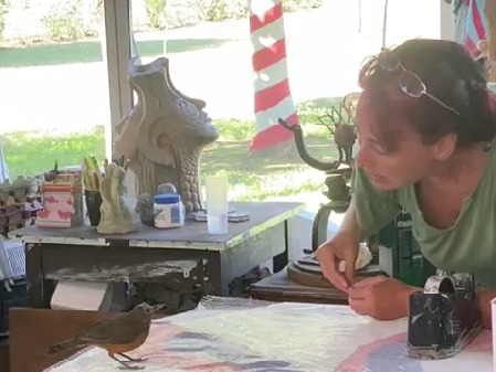 El zorzal de Las Amalias que roba protagonismo en redes | FM Avenida