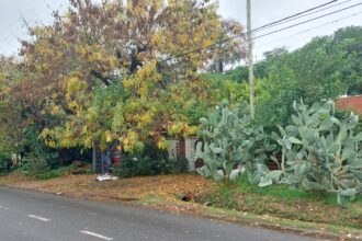 Embargo millonario y la bronca de los sampedrinos: "¿Y ahora, quién garpa esto?" | FM Avenida