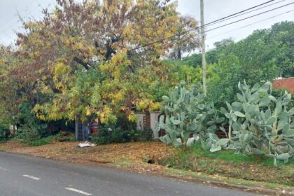 Embargo millonario y la bronca de los sampedrinos: "¿Y ahora, quién garpa esto?" | FM Avenida