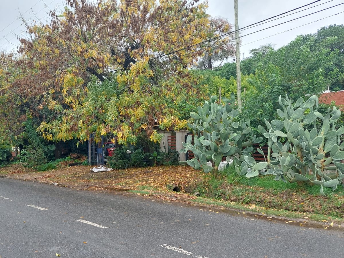 Embargo millonario y la bronca de los sampedrinos: "¿Y ahora, quién garpa esto?" | FM Avenida