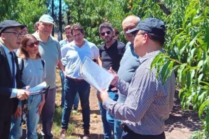 Exportación: la Aduana de China evaluó en San Pedro la posible apertura de su mercado a las frutas de carozo | FM Avenida