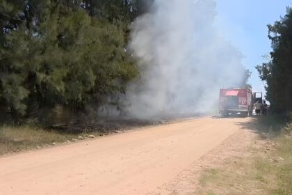 Incendio de gran magnitud afectó árboles y cables del tendido eléctrico en callejón Moretti | FM Avenida