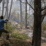 Incendios en Chubut: el fiscal dijo que "está totalmente descartado" que hayan sido provocados por grupos mapuches | FM Avenida