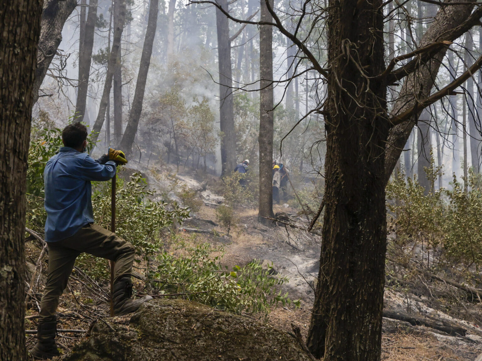 Incendios en Chubut: el fiscal dijo que "está totalmente descartado" que hayan sido provocados por grupos mapuches | FM Avenida