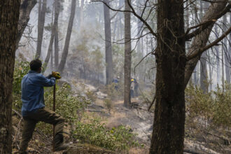 Incendios en Chubut: el fiscal dijo que "está totalmente descartado" que hayan sido provocados por grupos mapuches | FM Avenida