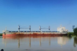 Ingresó al Puerto un buque que cargará 33 mil toneladas de trigo para Brasil | FM Avenida
