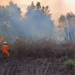 Intensa jornada para los Bomberos Voluntarios por múltiples incendios de pastizales | FM Avenida