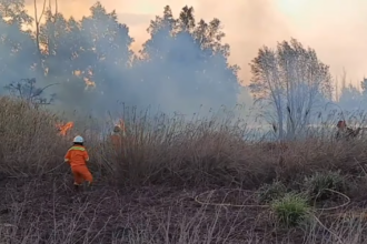 Intensa jornada para los Bomberos Voluntarios por múltiples incendios de pastizales | FM Avenida