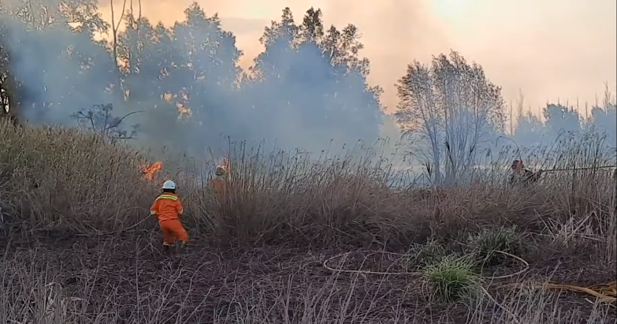 Intensa jornada para los Bomberos Voluntarios por múltiples incendios de pastizales | FM Avenida