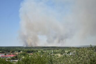 Islas Lechiguanas: piden extremar madidas de prevencion por temor al peligro extremo de incendios | FM Avenida