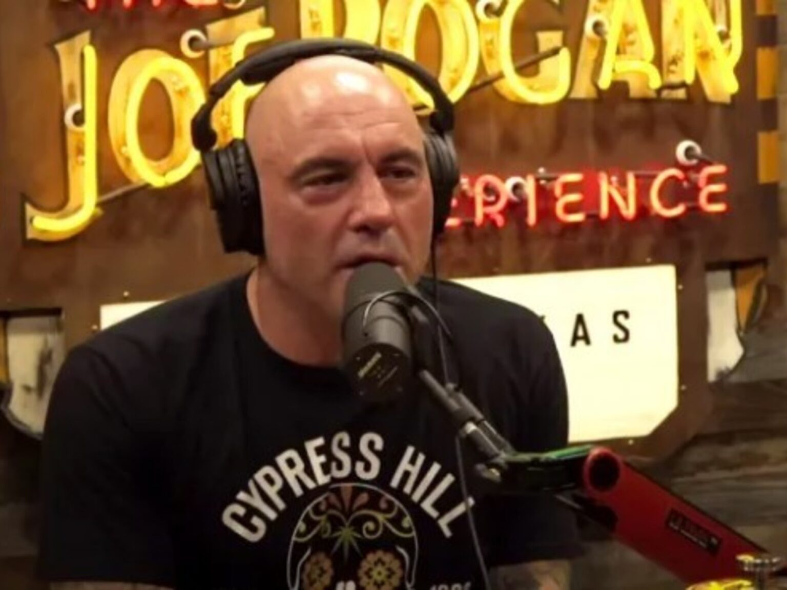 Joe Rogan cuestionó las redadas migratorias del ICE y apuntó contra Trump: “¿Vamos a ser la Gestapo?” | FM Avenida