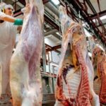 La oferta de vacunos para faena seguirá bajando, pero la demanda para exportar irá en crecimiento | FM Avenida