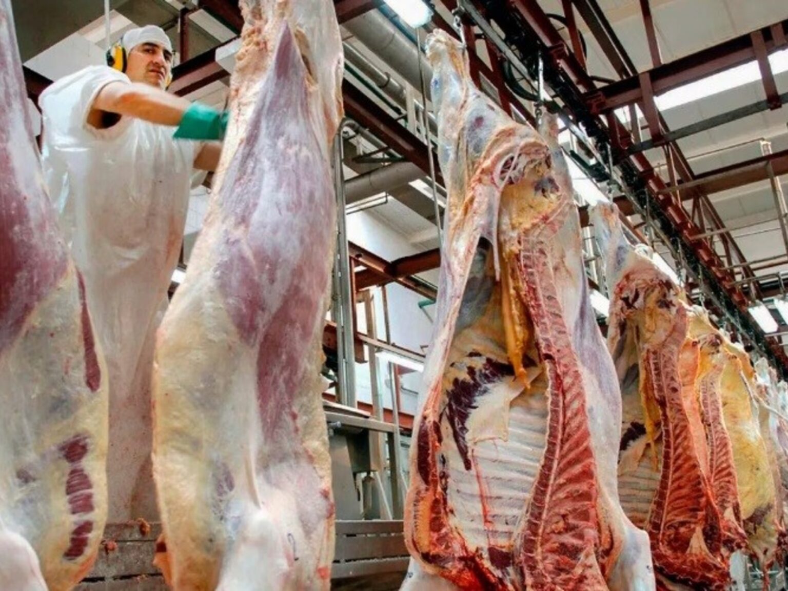 La oferta de vacunos para faena seguirá bajando, pero la demanda para exportar irá en crecimiento | FM Avenida