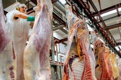 La oferta de vacunos para faena seguirá bajando, pero la demanda para exportar irá en crecimiento | FM Avenida