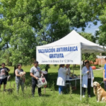 Nueva jornada de vacunación antirrábica gratuita en barrios | FM Avenida