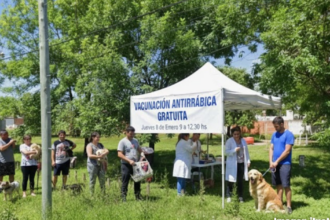 Nueva jornada de vacunación antirrábica gratuita en barrios | FM Avenida