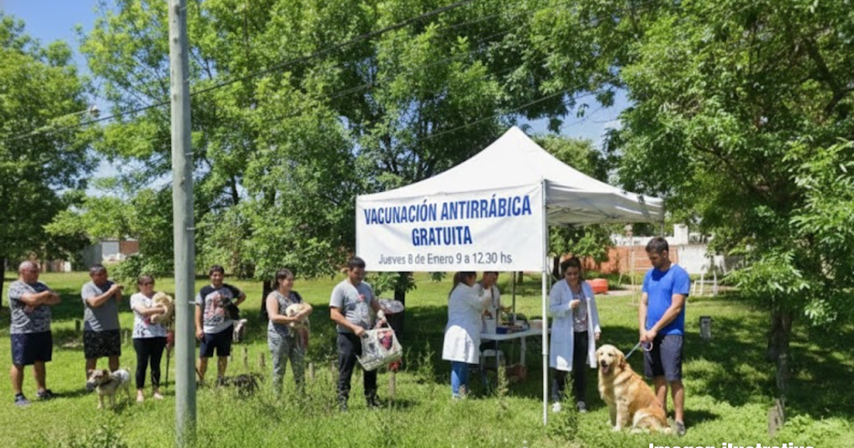 Nueva jornada de vacunación antirrábica gratuita en barrios | FM Avenida