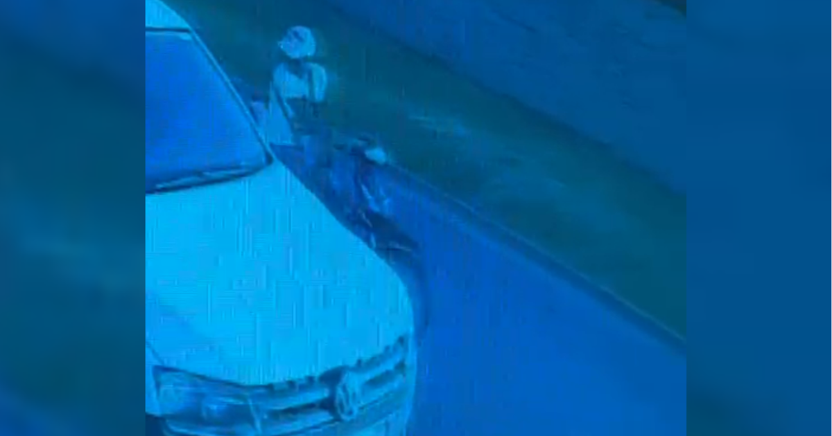 Robó una billetera de una camioneta y realizó compras con las tarjetas de la víctima (Video) | FM Avenida