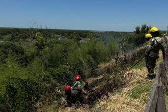 Ruta 1001: Bomberos controló un incendio de pastizales en la banquina | FM Avenida