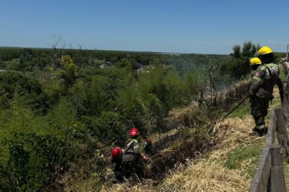 Ruta 1001: Bomberos controló un incendio de pastizales en la banquina | FM Avenida
