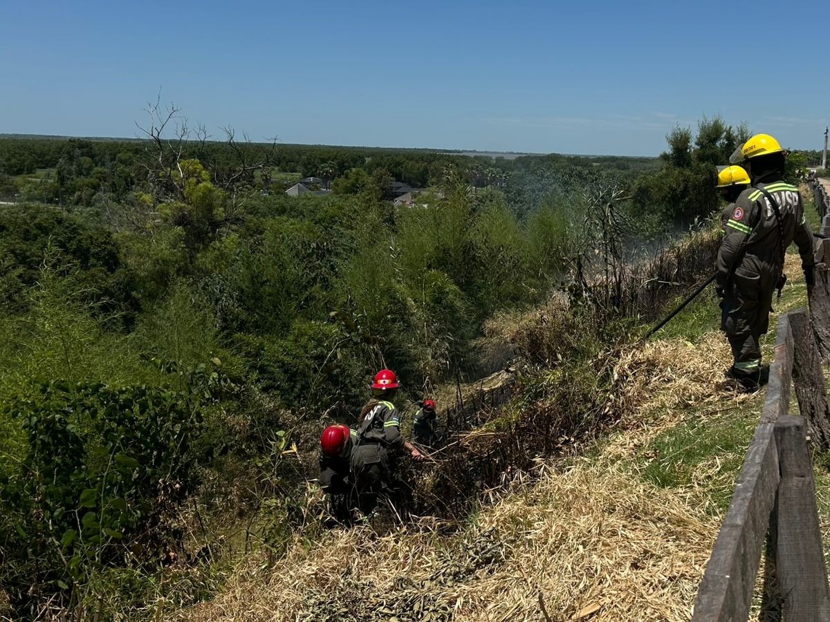 Ruta 1001: Bomberos controló un incendio de pastizales en la banquina | FM Avenida
