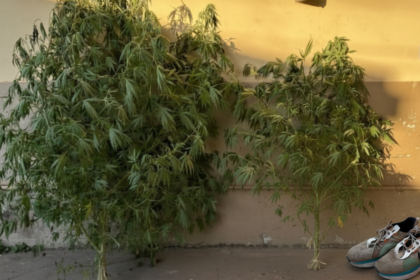 Tras analizar cámaras de seguridad, la policía esclareció un robo y halló droga en un allanamiento | FM Avenida