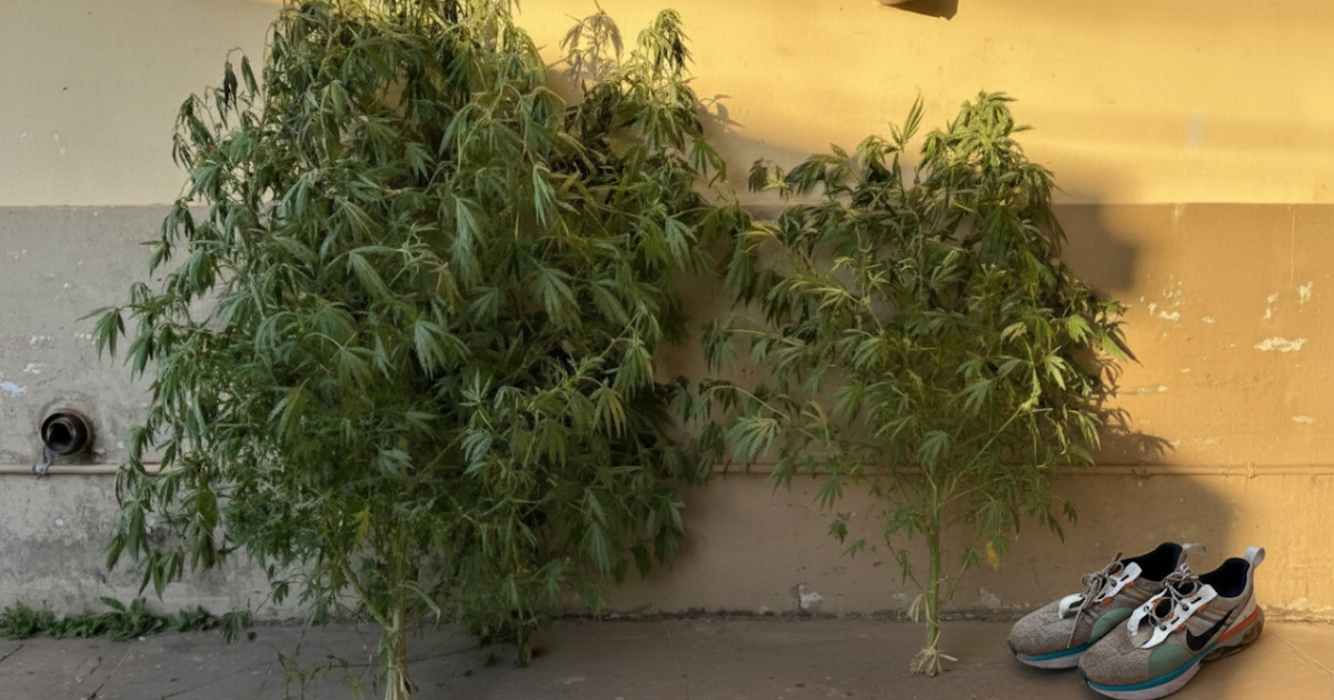 Tras analizar cámaras de seguridad, la policía esclareció un robo y halló droga en un allanamiento | FM Avenida