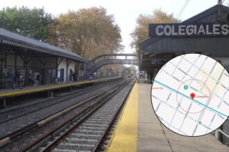 Trenes Argentinos: la estación Colegiales reemplazará a Retiro hasta fines de febrero | FM Avenida