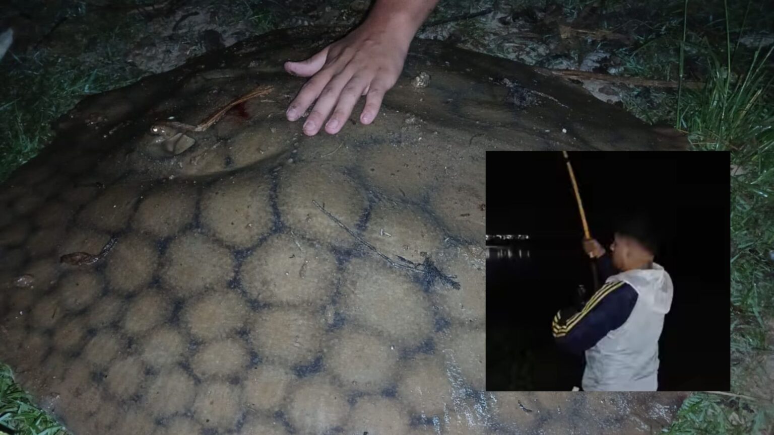 Una noche de pesca, intriga, suspenso y el saldo de 15 kilos milanesas de raya | FM Avenida