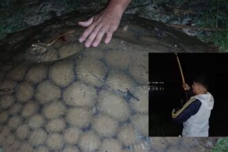 Una noche de pesca, intriga, suspenso y el saldo de 15 kilos milanesas de raya | FM Avenida