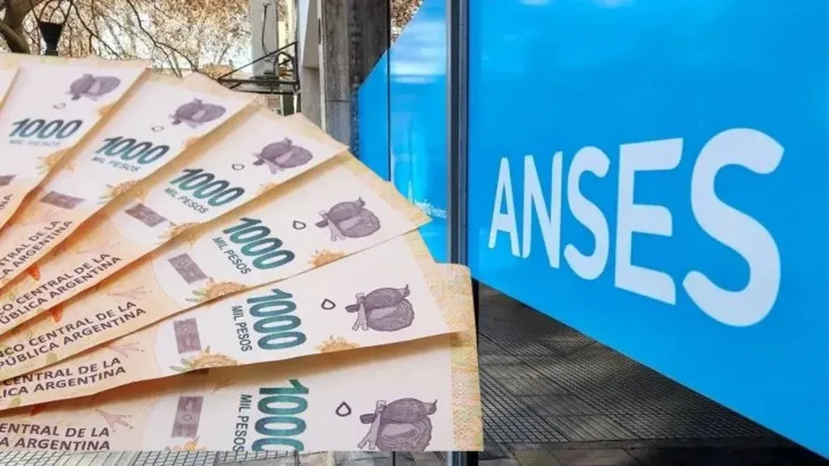 ANSES: calendario completo de pagos de febrero para jubilados, AUH y asignaciones | FM Avenida