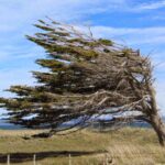 Alerta meteorológico por viento para el sur de la Provincia de Buenos Aires | FM Avenida