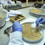 Arranca un nuevo Curso de Perito Clasificador de Granos con buena salida laboral | FM Avenida