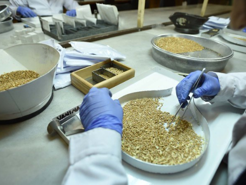 Arranca un nuevo Curso de Perito Clasificador de Granos con buena salida laboral | FM Avenida