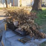 Basura y restos de poda: de quién es la responsabilidad y qué se paga por desecharlos | FM Avenida