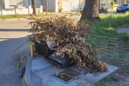 Basura y restos de poda: de quién es la responsabilidad y qué se paga por desecharlos | FM Avenida